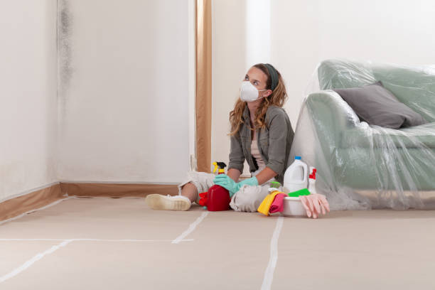 Reliable Mold Remediation contractor in Broadway, NC by 24 Hour Mold Removal